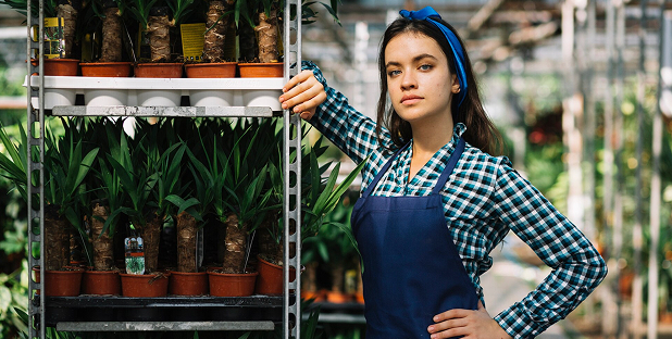 Top 5 Easy Indoor Plants for better air quality 1